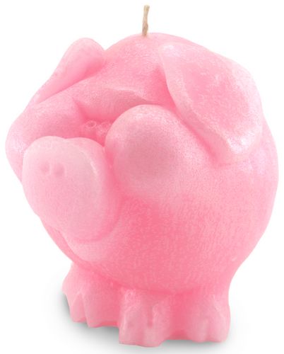Pig Cash Candle - Pig Money Candle - Side View